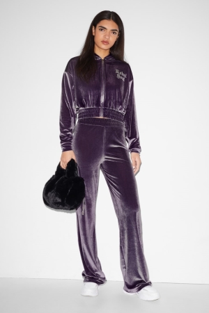 C&A Clockhouse Velvet Joggers Hosen Damen Lila | DLSUT-8937