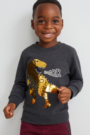 C&A Dinosaur Shiny Sweatshirts Mädchen Dunkelgrau | SFVLX-5089