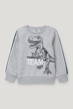 C&A Dinosaur Sweatshirts Mädchen Hellgrau | DJXCH-9173
