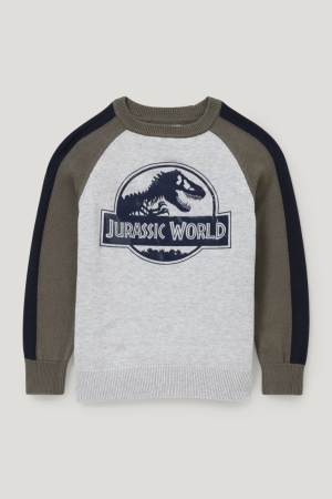 C&A Jurassic World Jumper Mädchen Hellgrau | MJBWH-7602