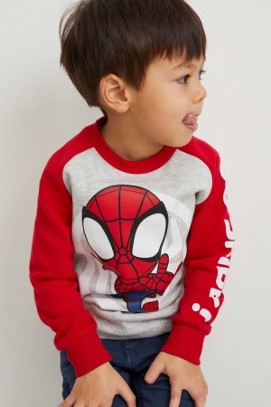 C&A Marvel Sweatshirts Mädchen Hellgrau | LXJMF-3860