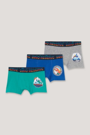 C&A Multipack Of 3 Dinosaur Boxer Organic Baumwoll Unterwäsche Jungen Grün | IQXLN-3612